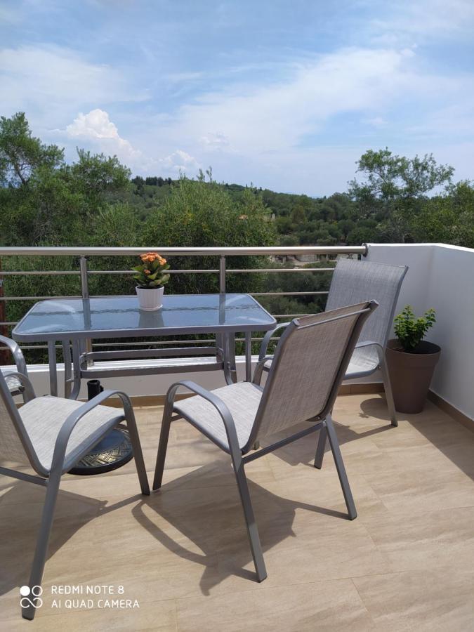 Ortensia Oziás Buitenkant foto